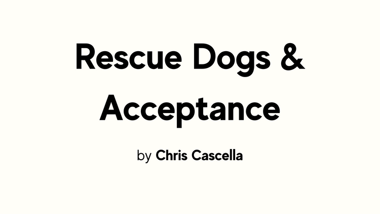 FTT: Rescue Dogs & Acceptance